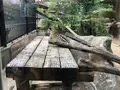 わんぱーくこうちの写真_313721