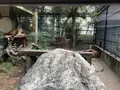 わんぱーくこうちの写真_313722