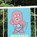 桂浜水族館の写真_313730
