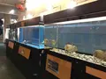 桂浜水族館の写真_313732