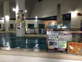 桂浜水族館の写真_313740