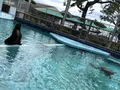 桂浜水族館の写真_313742