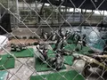 桂浜水族館の写真_313746