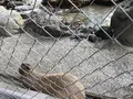 桂浜水族館の写真_313750