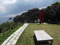 珠洲岬（聖域の岬）の写真_314321