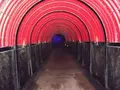 珠洲岬（聖域の岬）の写真_314326