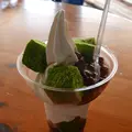 ひるがの高原コキアパークの写真_314693