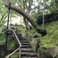 報国寺（竹寺）の写真_315086