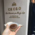 cacao カカオ 鎌倉の写真_315105