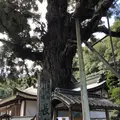 第２番札所極楽寺の写真_315325