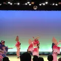 阿波おどり会館の写真_315345