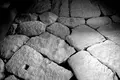 小田原城の写真_315930