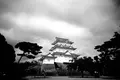 小田原城の写真_315936