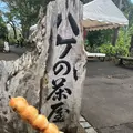 府中市郷土の森博物館の蝋梅の写真_316826