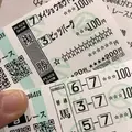 東京競馬場の写真_316840