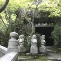 大聖院の写真_316967