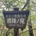 霧降の滝の写真_317073
