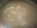 岩屋直送　海鮮居酒屋　大　神戸駅前店の写真_317080