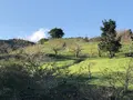 千葉県酪農のさとの写真_317473