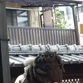 瀧尾神社の写真_317865