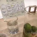 梅体験専門店 蝶矢の写真_317873