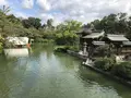 神泉苑の写真_318173