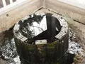 長浜八幡宮の写真_318277