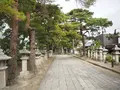 長浜八幡宮の写真_318282