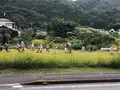 巨大迷路 パラディアムの写真_319076