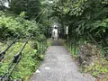 巨大迷路 パラディアムの写真_319077
