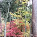 花筐公園の写真_319124