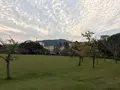鳥羽市民の森公園の写真_319424