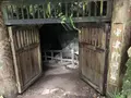 宇津野洞窟の写真_319555