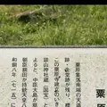 粟原寺跡の写真_319747