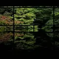 瑠璃光院の写真_319761