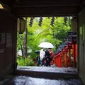 貴船神社の写真_319765