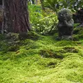 三千院の写真_319770