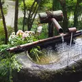 宝泉院の写真_319775