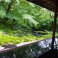 瑠璃光院の写真_319942