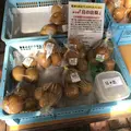 道の駅「明治の森・黒磯」青木の森カフェの写真_320354