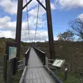 つつじ吊橋の写真_320366