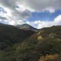 つつじ吊橋の写真_320368