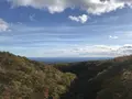 つつじ吊橋の写真_320370