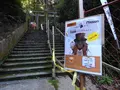 大本山 狸谷山不動院の写真_320729