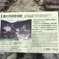殺生石の写真_320787