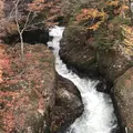 竜頭ノ滝の写真_320851