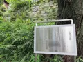 観音寺の写真_321138