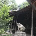 川越氷川神社の写真_321338