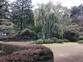 川越大師 喜多院の写真_321350