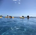 シェラトン ワイキキの写真_321688